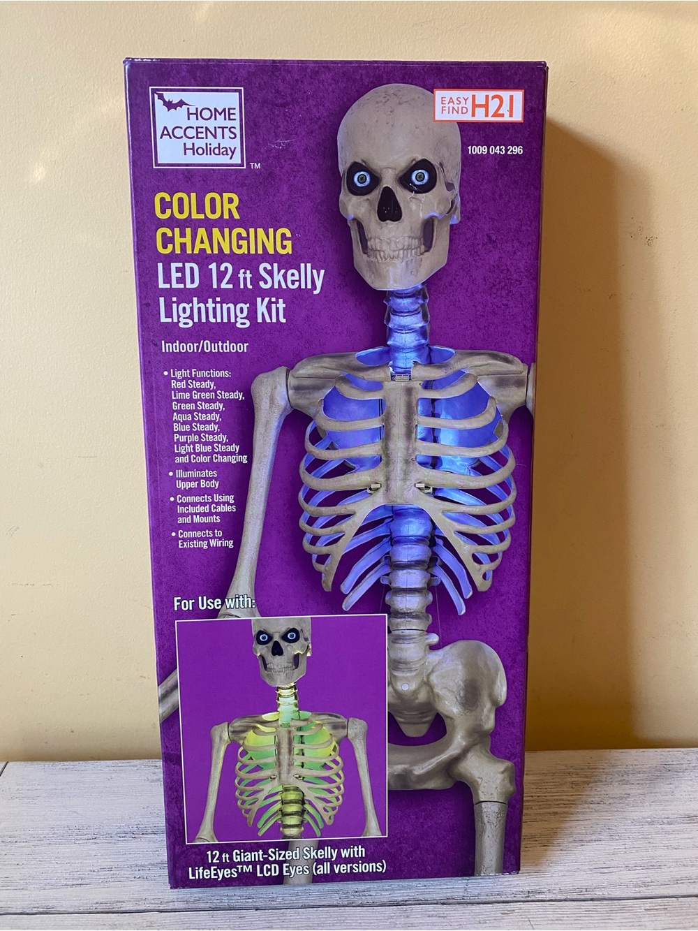Home Accents Color-Changing LED Skelly Lighting Kit
